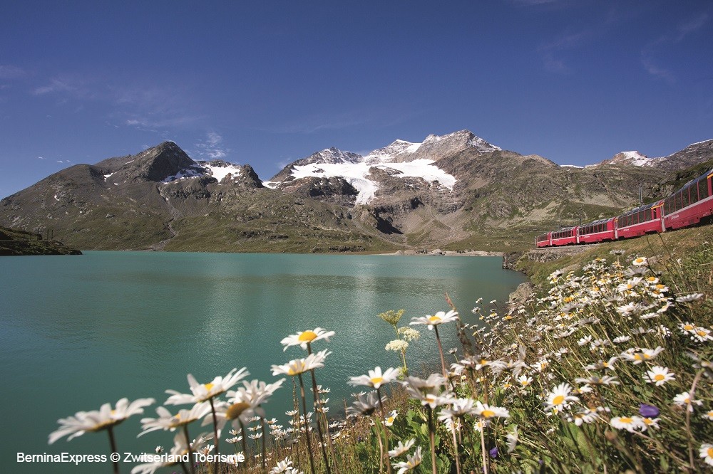 Swiss Travel System Excellence Program